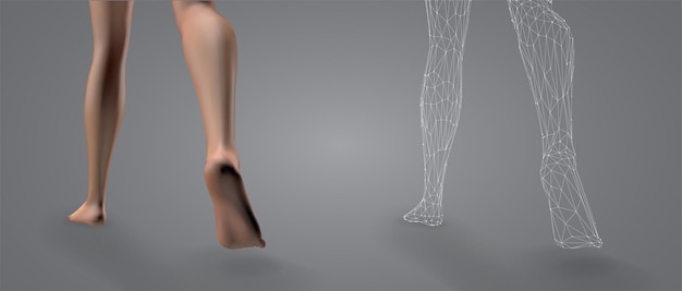 Vector 3d female legs set , confident step isolated on gray background