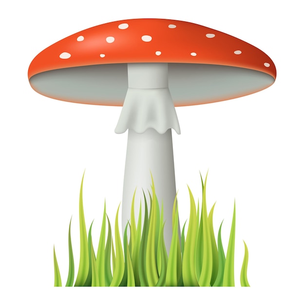 3D fly agaric Mushroom with grass isolated on white background