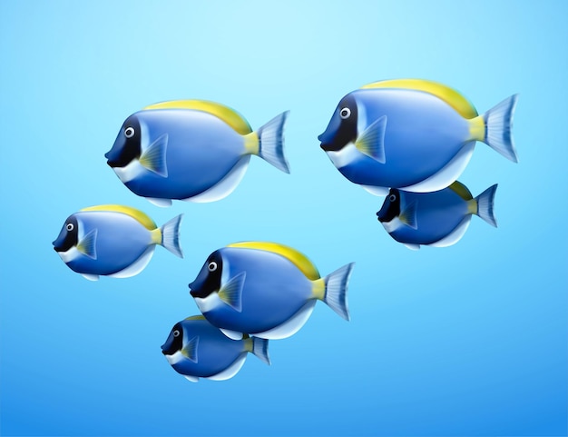 Vector 3d illustration of blue tang