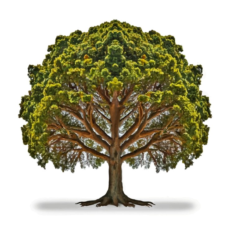 Vector 3d illustration of tree on white background