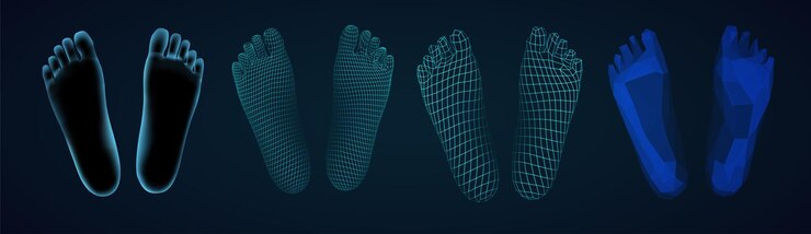 Vector 3d illustrationvector foot volume health and shoe selection