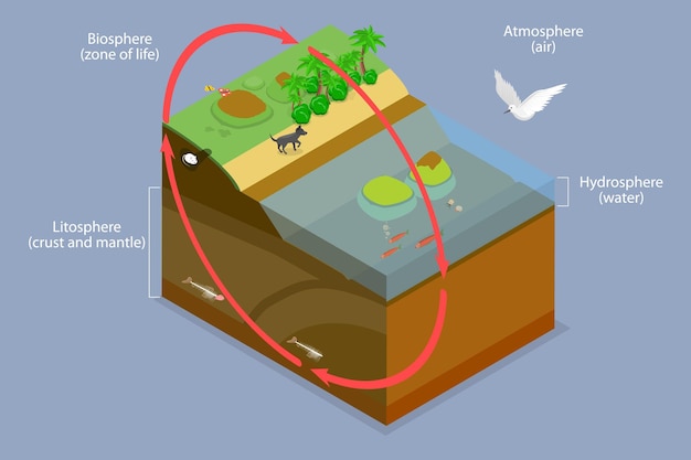 Vettore illustrazione concettuale 3d a vettore piatto isometrico della biosfera