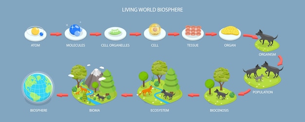 3D Isometric Flat Vector Conceptual Illustration of Living World Biosphere