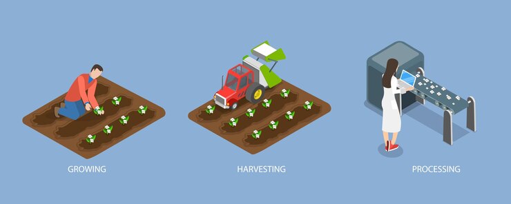 Vector 3d isometric flat vector illustration of cotton farm