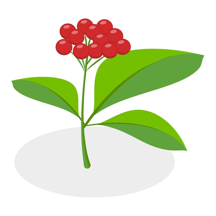 Vector 3d isometric flat vector set of berries healthy detox natural products item 3