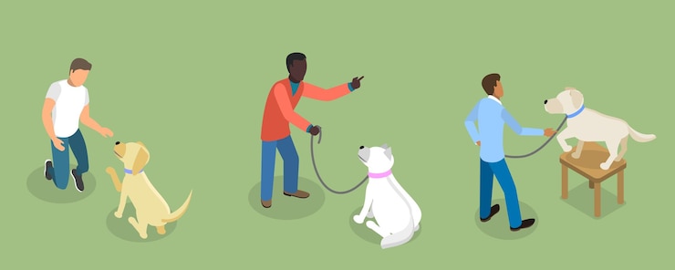 Vector 3d isometric flat vector set of dog training scenes