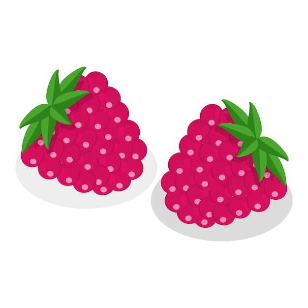 3D Isometric Flat Vector Set of Medical Herbs And Berries Item 5