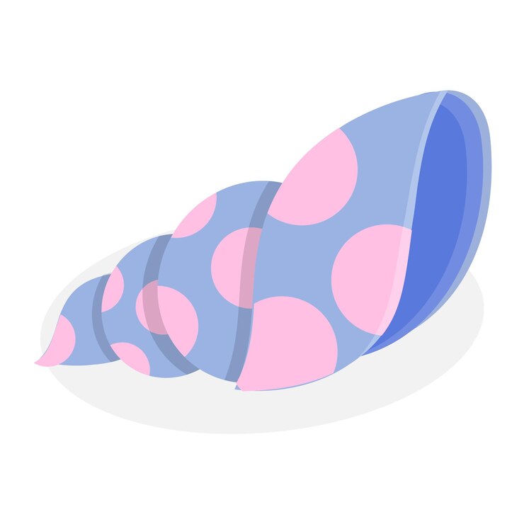 Vector 3d isometric flat vector set of seashells ocean cockleshells item 5