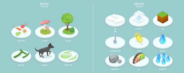 3D-isometrische platte vector conceptuele illustratie van biotic en abiotic factoren