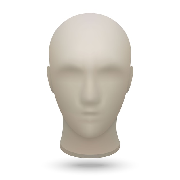 Vector 3d mannequin head