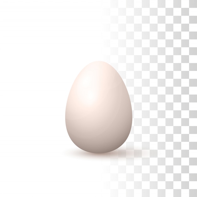 3d 자연 계란