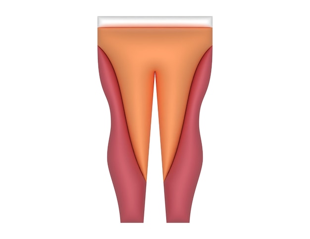 3d Orange Fitted Pants illustration vector design