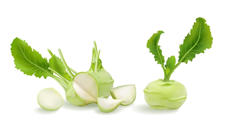 Vector 3d realistic kohlrabi, german turnip or turnip cabbage big vector set raw bulbs with leafs