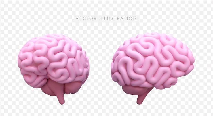 3d realistic model of brain in different positions Emblem for medical school