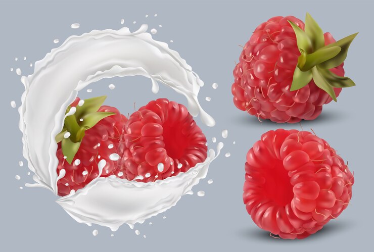 Vector 3d realistic raspberry in milk splash. fresh red raspberry. milk cocktail. organic berries.vector illustration.