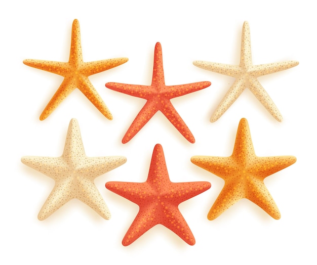 3D Realistic Set of Vector Starfish with Different Colors for Summer Design Elements Isolated