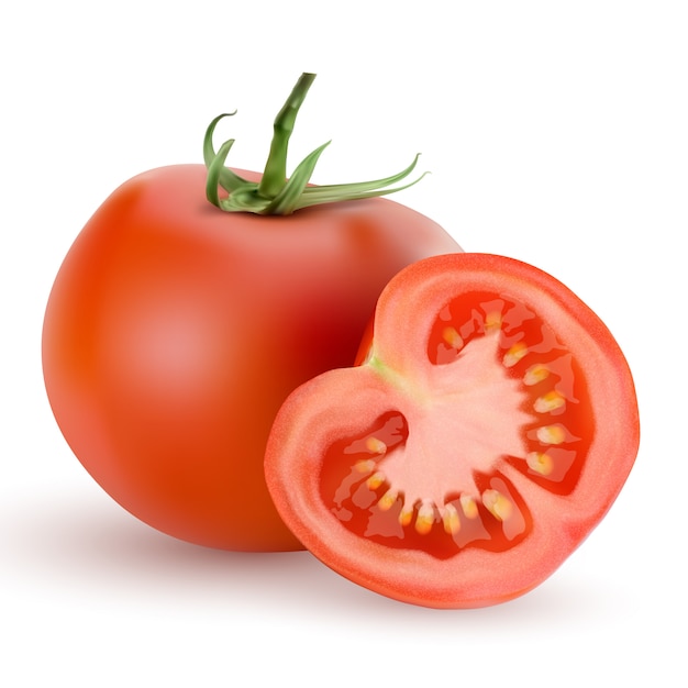 Vector 3d realistic tomato and slice isolated