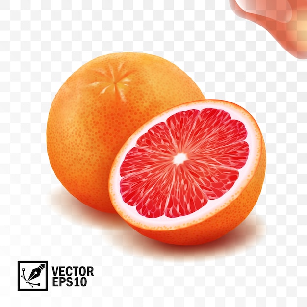 Vector 3d realistic   whole and cut half of grapefruit, editable handmade mesh