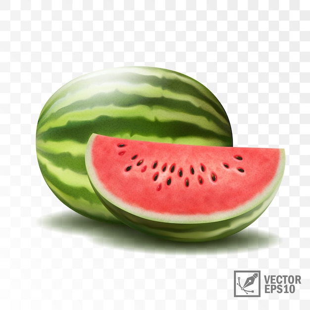 Vector 3d realistische doorzichtige vector hele en helft van watermeloen in een spatje sap met druppels