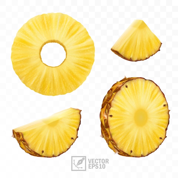 Vector 3d realistische geïsoleerde vector ananas set ananas cirkel stukken en ananas plakjes