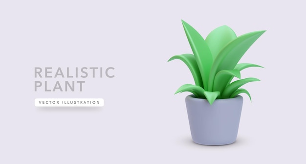 Vector 3d-realistische plant in een bloempot geïsoleerd op een lichte achtergrond vector illustratie