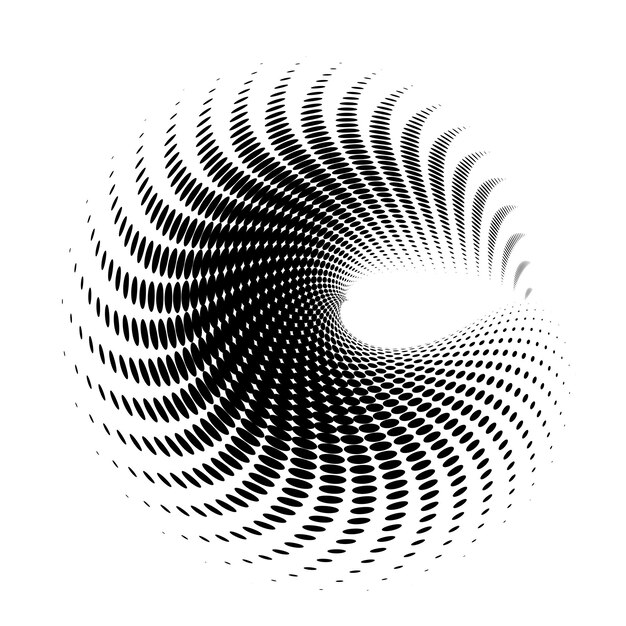 Vector 3d shell swirl circle elegant form08