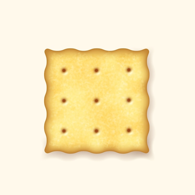 3d square delicious salty cookie rustic dry cracker biscuit icon realistic sweet cookie