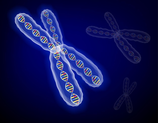 3d-structuurbeeld veel genetische concepten x-chromosoom met dna-moleculen