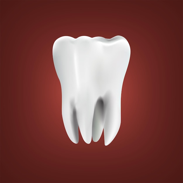 3d tooth design and 3d teeth design