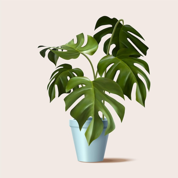 Vector 3d tropical potted plant