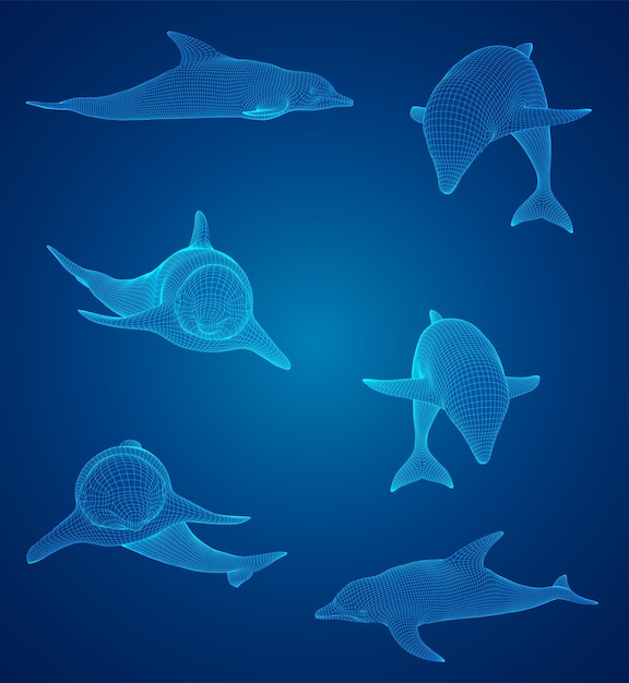 3D-vector instellen oceaan bescherming dolfijn