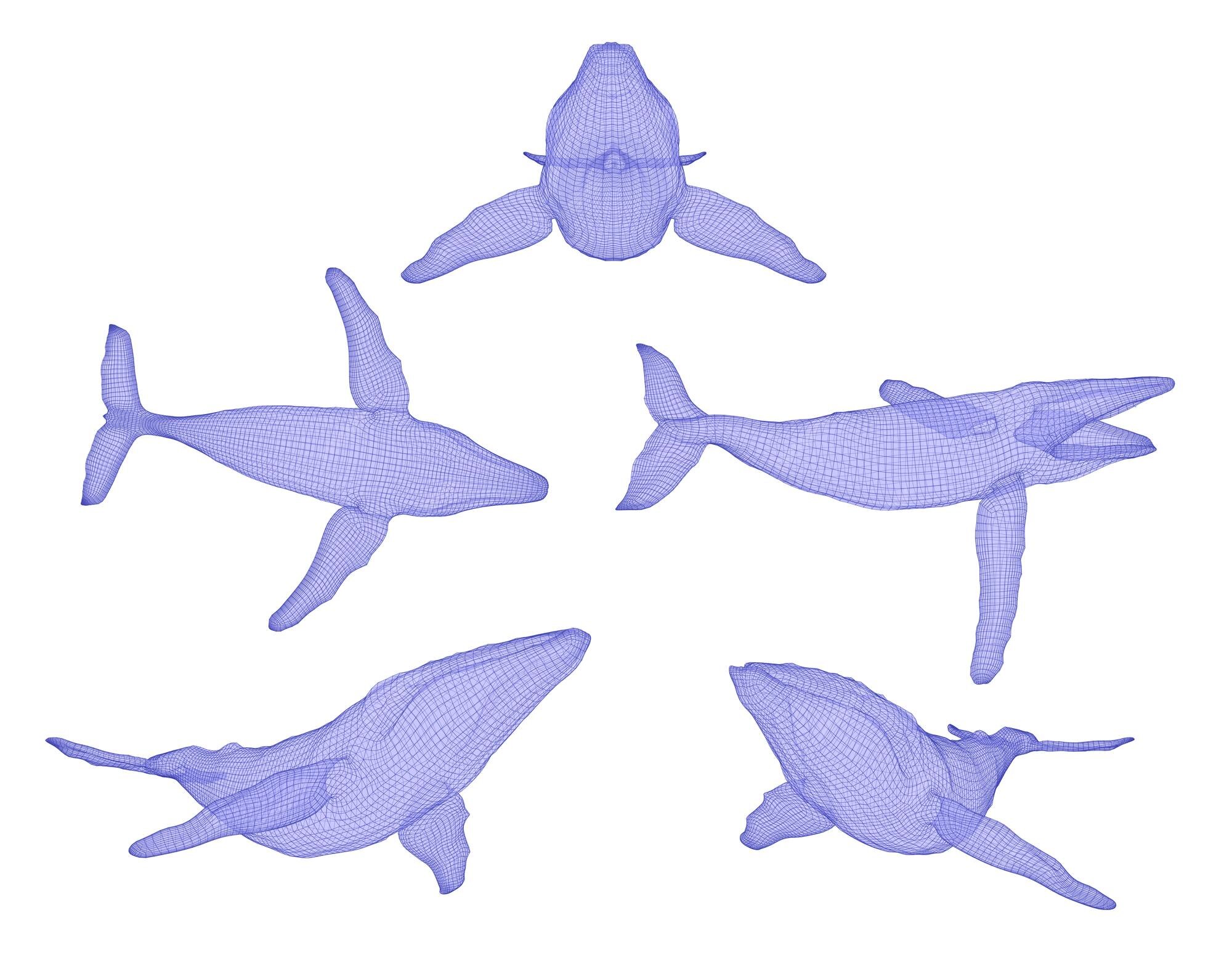 Premium Vector | 3d vector set ocean protection big blue whale