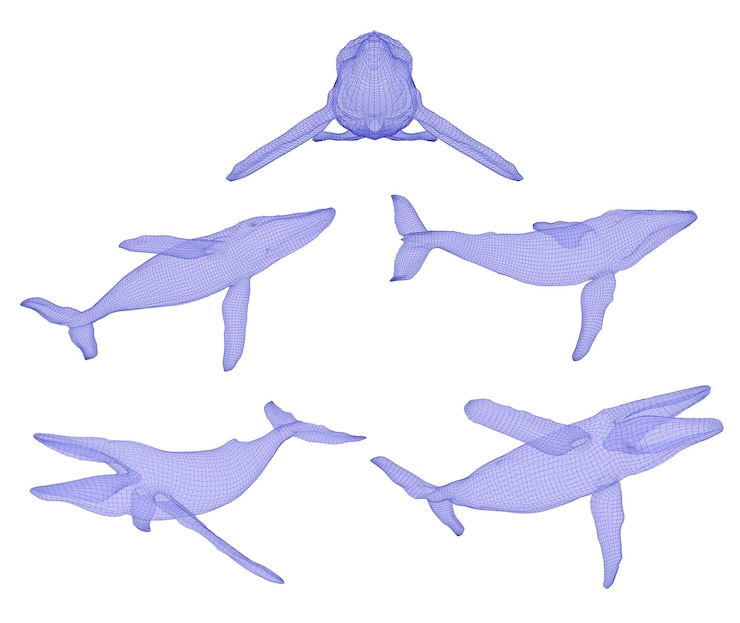 Vector 3d vector set ocean protection big blue whale
