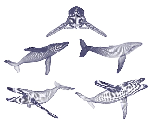 3d vector set ocean protection big blue whale
