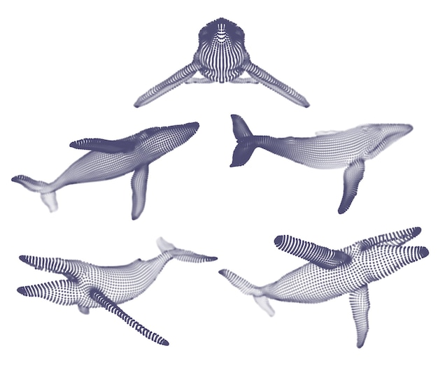 Vector 3d vector set ocean protection big blue whale