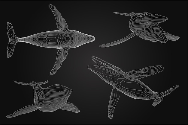 3d vector set ocean protection big blue whale