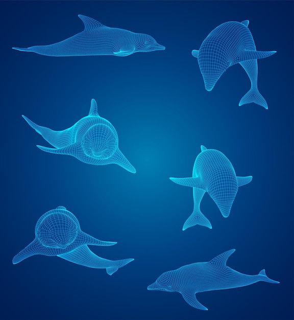 3d vector set ocean protection dolphin