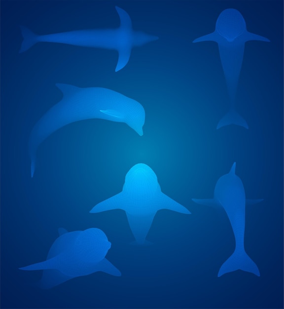 3d vector set ocean protection dolphin