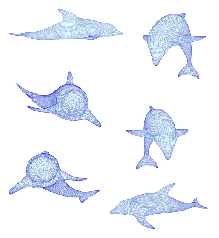 Vector 3d vector set ocean protection dolphin