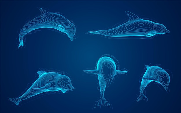 3d vector set ocean protection dolphin