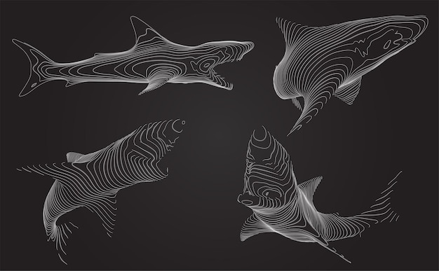 3d vector set. ocean protection. great white shark.