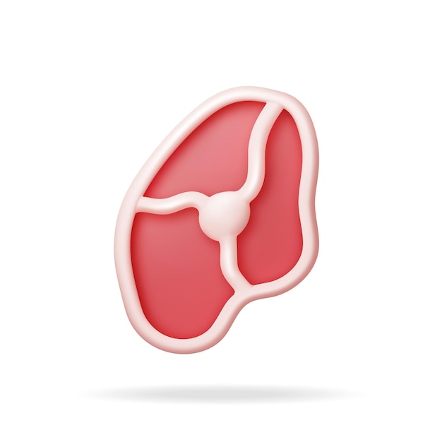 3d vleeslapje vlees dat op wit wordt geïsoleerd