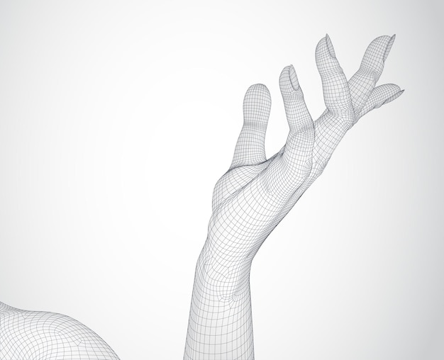 3D vrouw handen vector illustratie op witte achtergrond