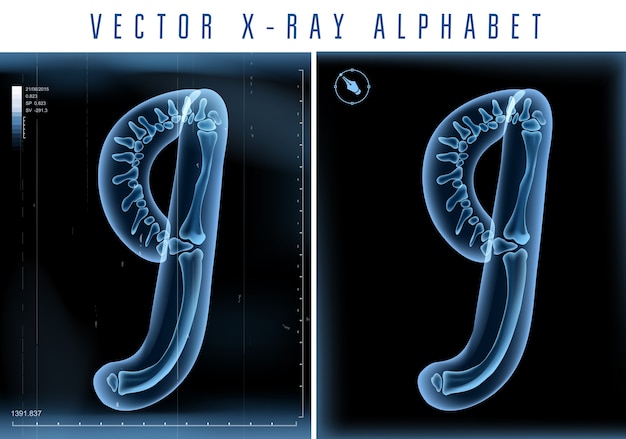 Vector 3d x-ray transparent alphabet use in logo or text. number nine 9
