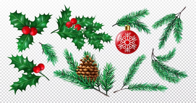 3d xmas tak set boom met kegels en kerst speelgoed holly berry dennenblad en rode bal sparren of sparren winter vakantie realistische planten voor decor Vector grafische exacte illustratie