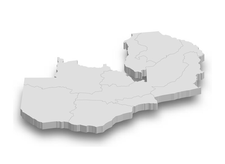 Vector 3d zambia white map with regions isolated