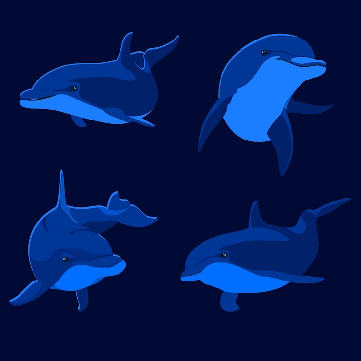 Vector 4 illustrations of blue dolphins
