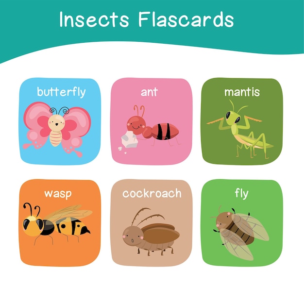 Vector 49 flashcards