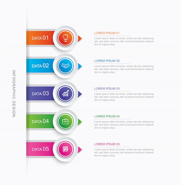 추상 타임 라인 템플릿 5 원 단계 infographic.