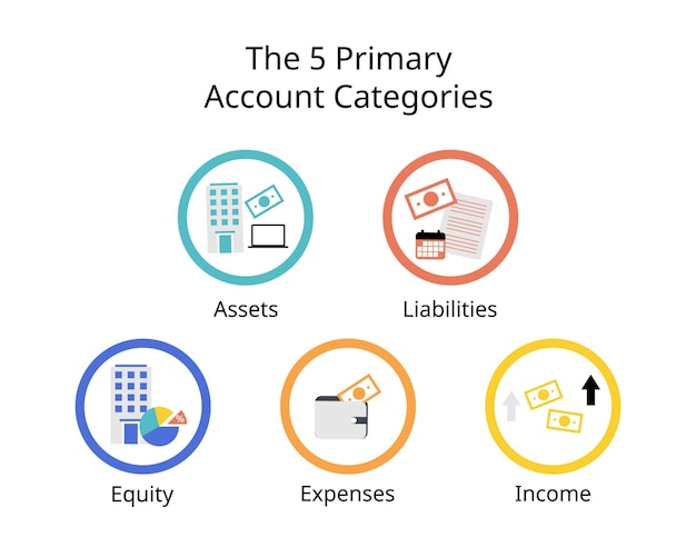 Vector the 5 primary account categories are assets liabilities equity expenses and income or revenue